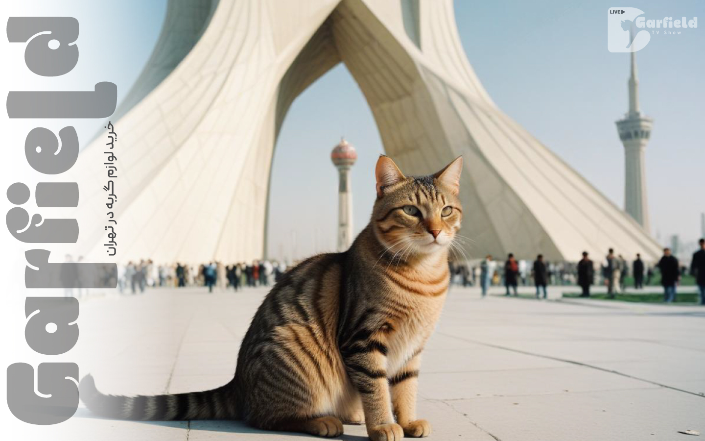 خرید لوازم گربه در تهران